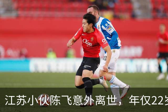 江苏小伙陈飞意外离世，年仅22岁，追悼会上满是他的奶龙玩偶